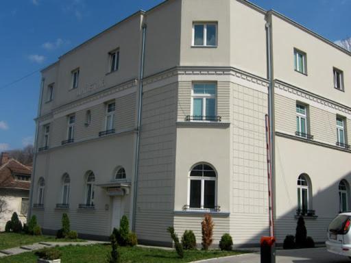 Vila Miletic Vrnjačka Banja المظهر الخارجي الصورة