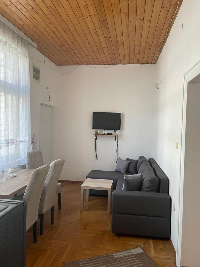 Vila Miletic Vrnjačka Banja المظهر الخارجي الصورة