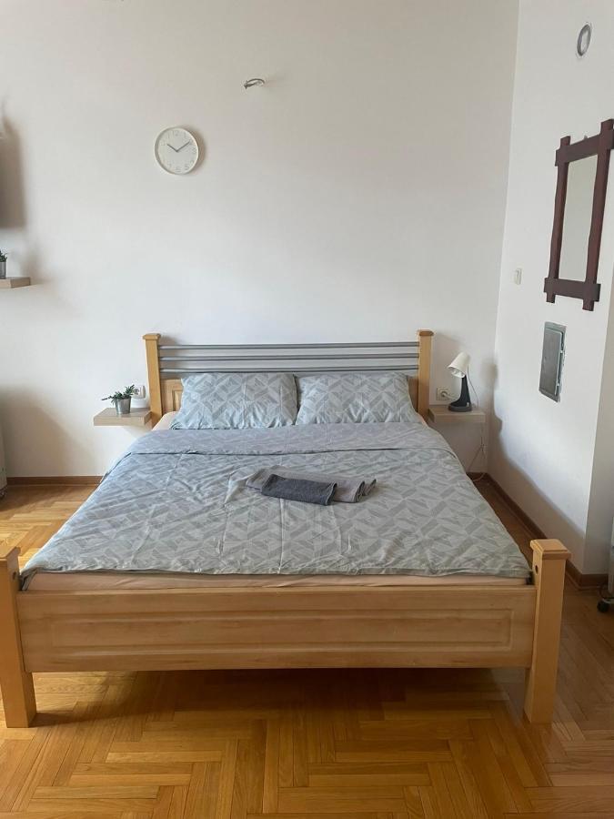 Vila Miletic Vrnjačka Banja المظهر الخارجي الصورة