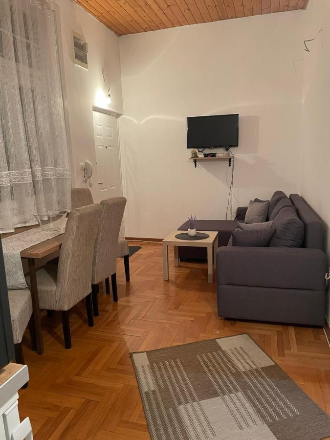 Vila Miletic Vrnjačka Banja المظهر الخارجي الصورة