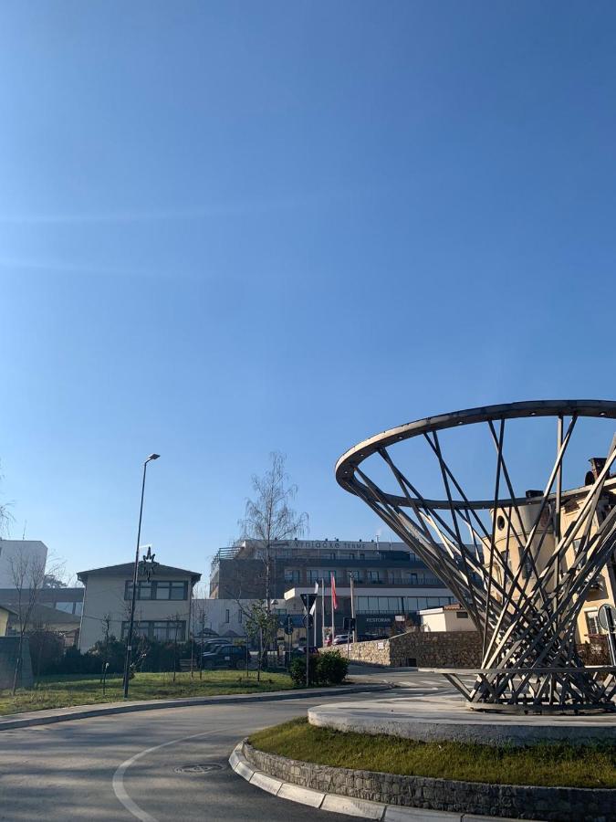 Vila Miletic Vrnjačka Banja المظهر الخارجي الصورة